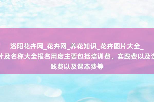洛阳花卉网_花卉网_养花知识_花卉图片大全_花卉图片及名称大全报名用度主要包括培训费、实践费以及课本费等